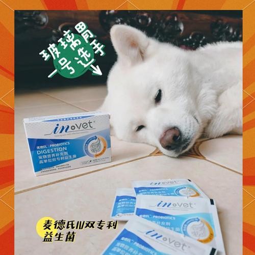 狗狗的肠道健康（为你的宠物提供正确的营养保障）