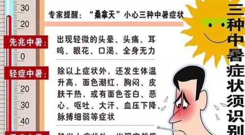 比熊犬中暑的症状及应对方法（了解比熊犬中暑，保护您的爱宠）