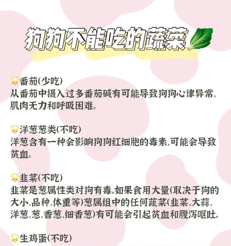 狗能吃人类食物的好处（为什么狗可以吃人类食物？）