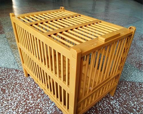 画眉打斗后的冲凉乐趣（体验冲凉时的舒适与放松，释放战斗压力）