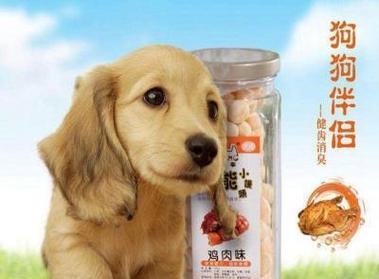 牧羊犬肥胖的原因及饮食管理（为什么牧羊犬容易发胖？如何科学饮食管理？）