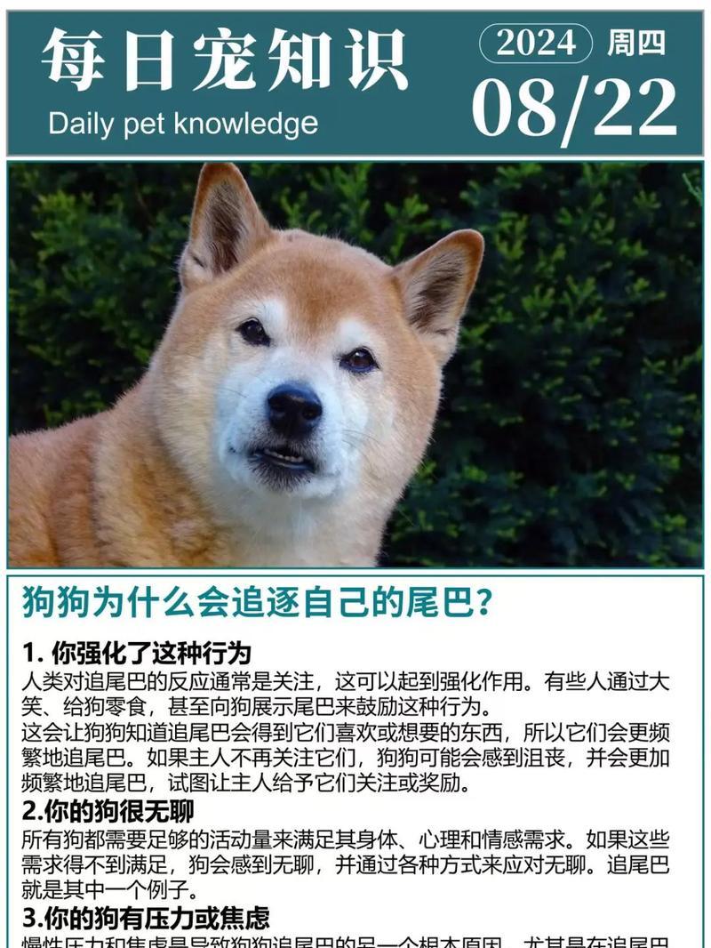 狗为什么不栓尾巴？（解析狗没有栓尾巴的原因以及相关的生理特征）