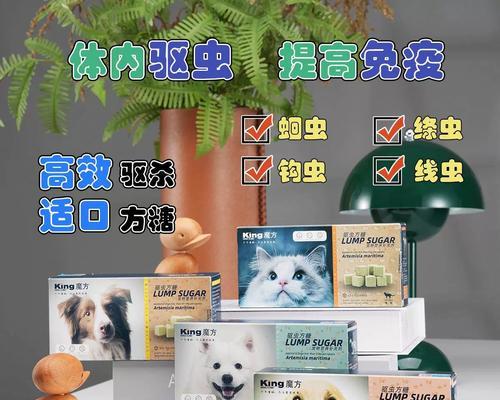 金毛犬禁用药物指南（保护金毛健康，谨记禁用药物清单）