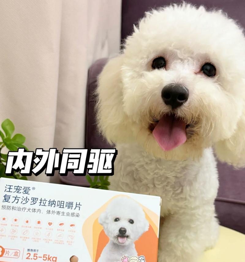 选择适合狗狗的打虫药品——哪个牌子最好？（保护宠物健康的关键，打虫药品如何选择）