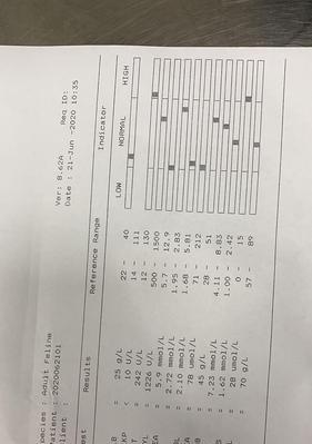 猫血小板低的治疗药物选择及注意事项（以猫血小板低吃什么药为主题的相关知识和建议）