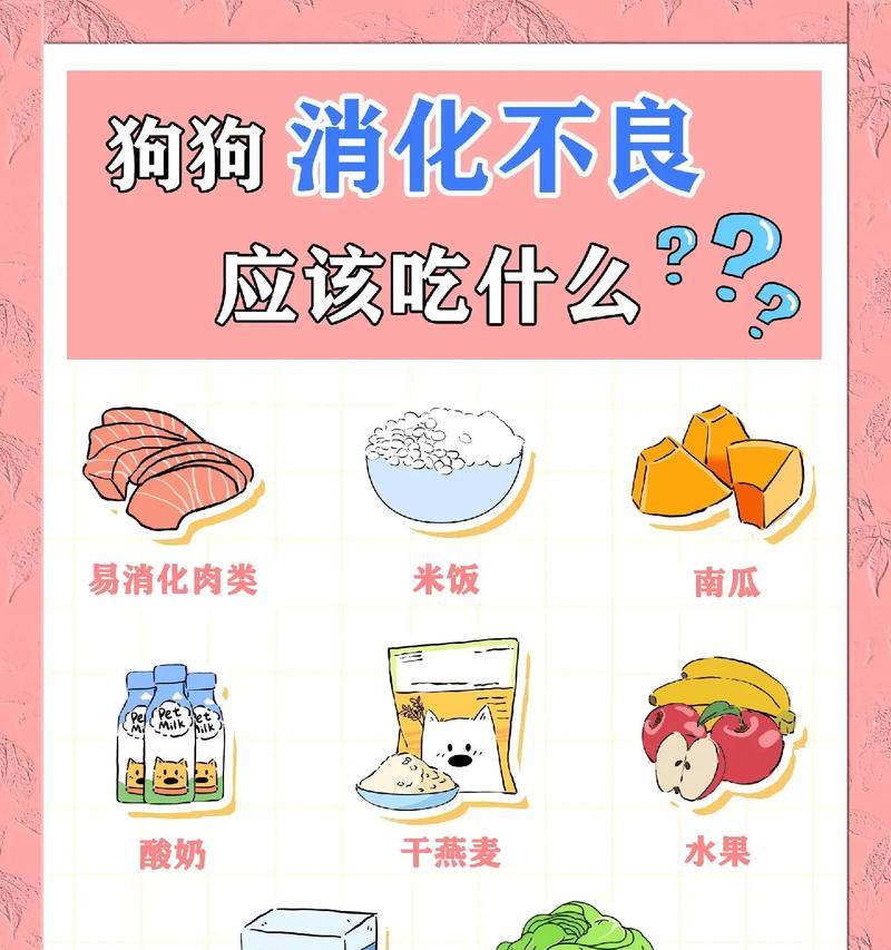 狗狗的饮食禁忌（为宠物狗狗安全着想，这些食物千万不能给他们吃！）
