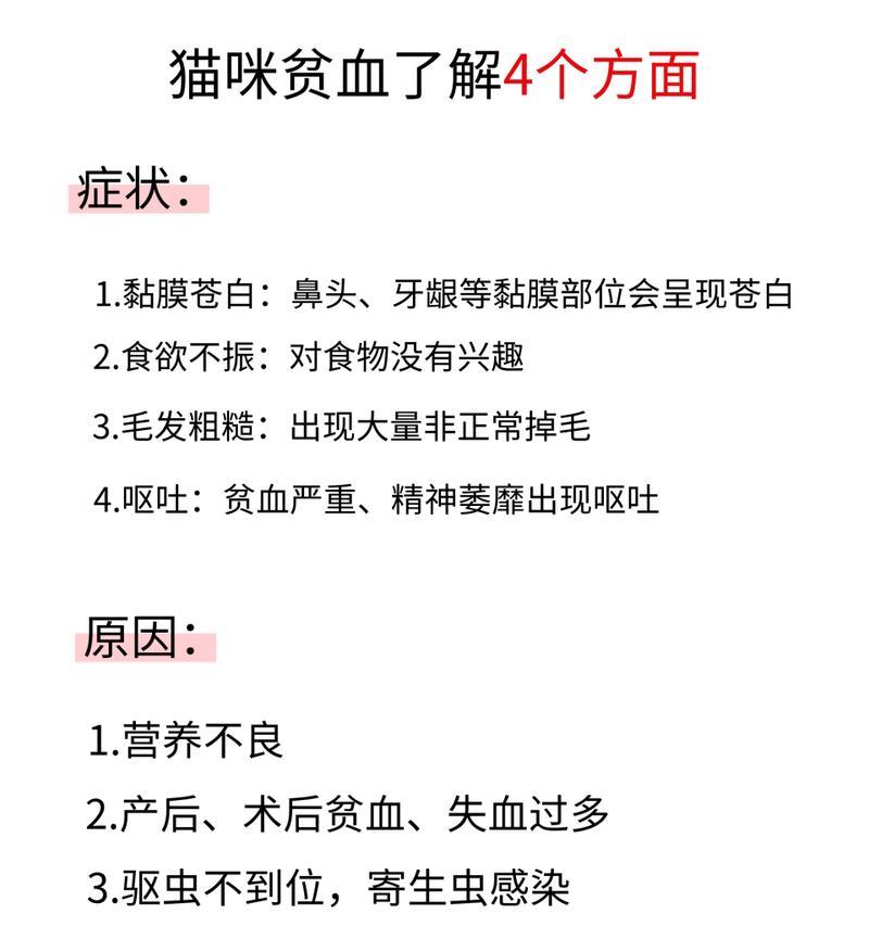 猫咪为什么会贫血？（探究猫咪贫血的原因及预防方法）