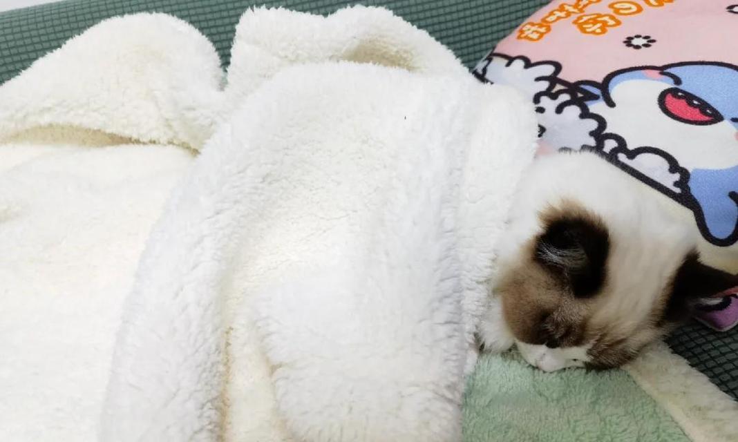 猫为什么不会咳嗽？（探寻猫咳嗽机制的奥秘）