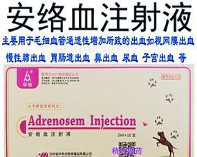 猫流鼻血，用药有妙方（探索解决猫流鼻血问题的有效药物）