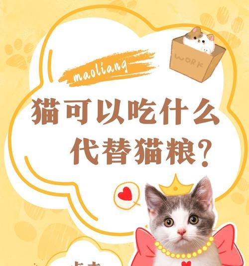 以猫能吃什么便宜的东西为主题的饮食建议（满足猫咪口腹之欲的经济实惠选择）