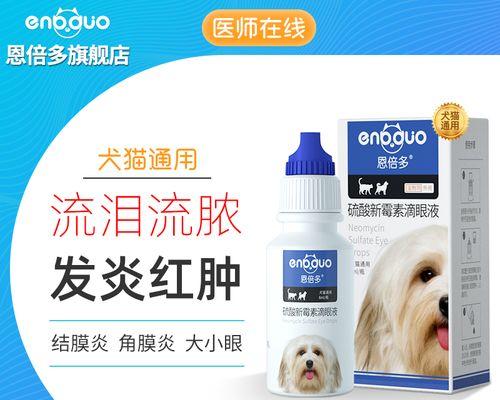眼屎是狗眼部疾病的信号——如何喂药治疗（以狗经常有眼屎喂什么药为主题的详细指南）