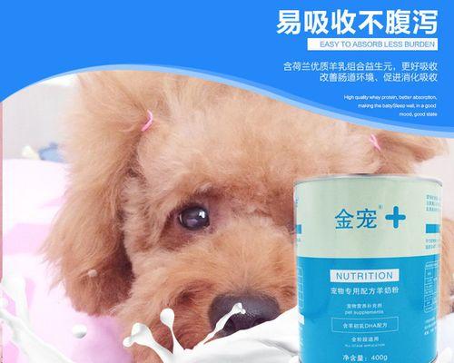 狗狗奶粉选择指南（了解如何选择最适合你的狗狗的奶粉）