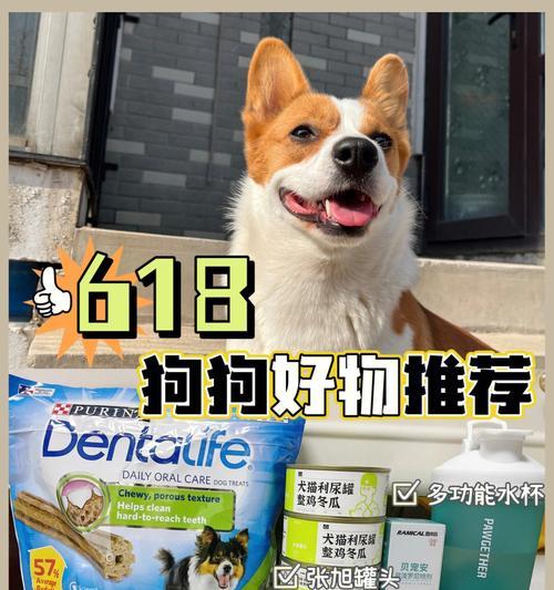 夏天给狗狗吃什么药？（狗狗夏季护理的健康指南）