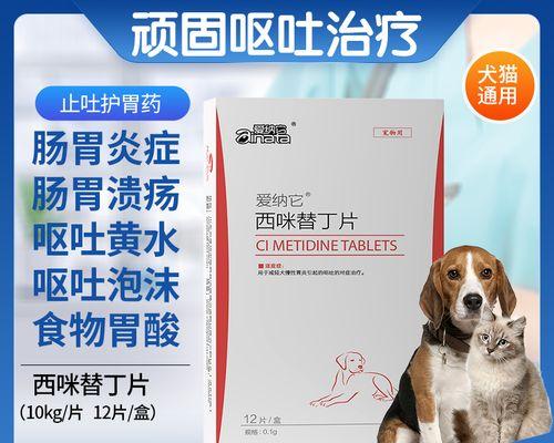 狗肠胃不舒服吃什么药？（了解狗肠胃问题的常见药物及使用方法）