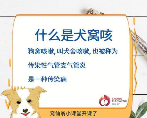 小狗狗为什么咳嗽？（探寻小狗咳嗽背后的原因及应对方法）