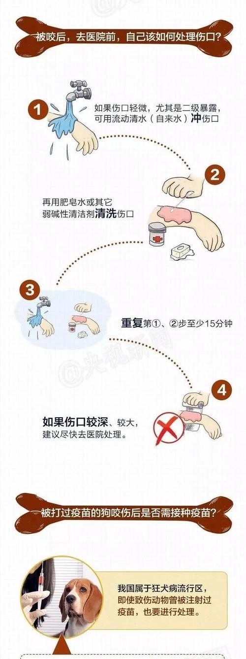 被狗咬了吃什么好？（遭遇狗咬伤后应该如何选择食物？）