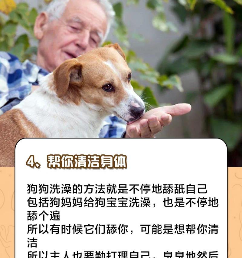 狗狗的舔人行为之谜（探秘狗狗为何喜欢舔人的原因）