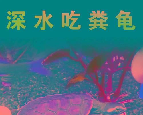 龟类为何不开食？（探究龟类的食物选择和适应策略）