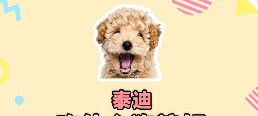 小泰迪狗的理想狗粮选择（了解小泰迪狗的饮食需求，让它健康茁壮成长）