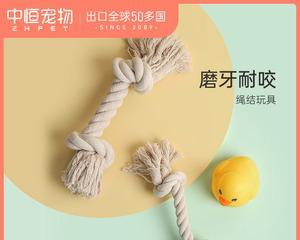 幼犬老咬右后足的原因及应对方法（探究幼犬为何老咬自己的右后足以及解决办法）