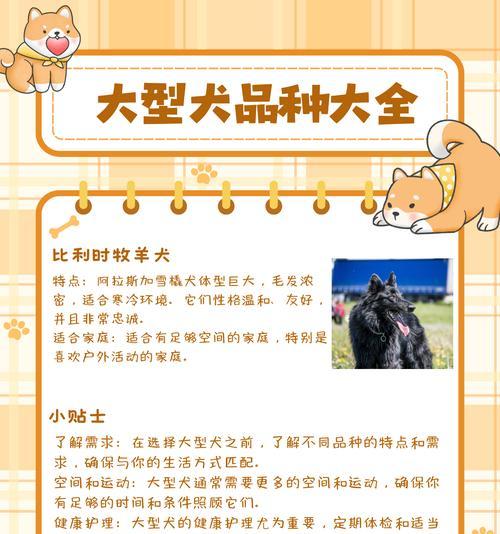 如何养巨贵的宠物？（重要注意事项与财务规划）