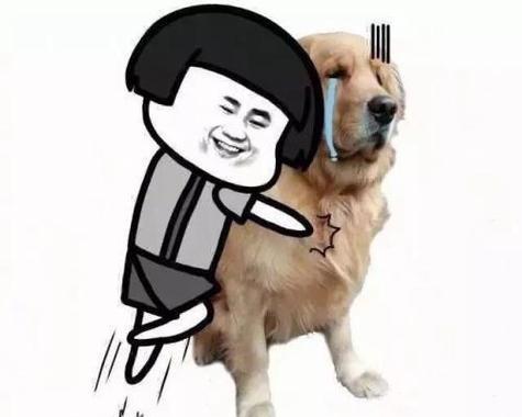 狗哭的征兆及其意义（探寻狗哭背后的秘密，了解它们的情绪和需求）