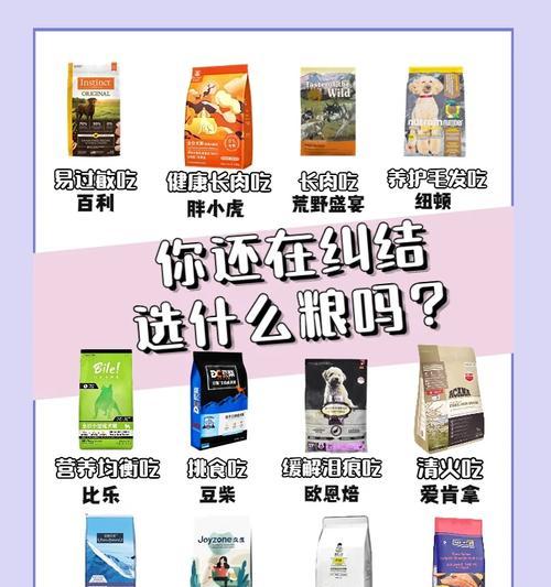 小狗如何健康增重（为宠物狗提供均衡饮食和适当运动）