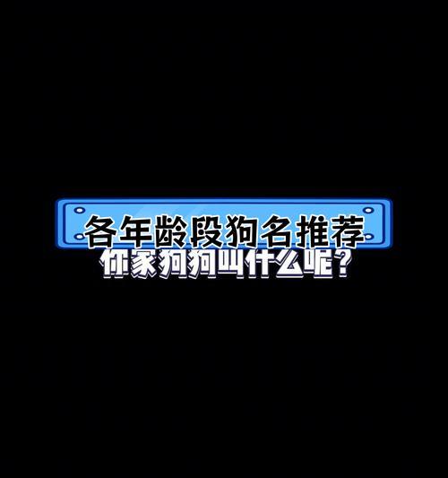 霸气十足的小狗名字大全（让你的小狗从名字开始展现个性与威严）
