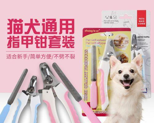 如何正确为贵宾犬剪指甲（保护宠物爪子健康的基本技巧）