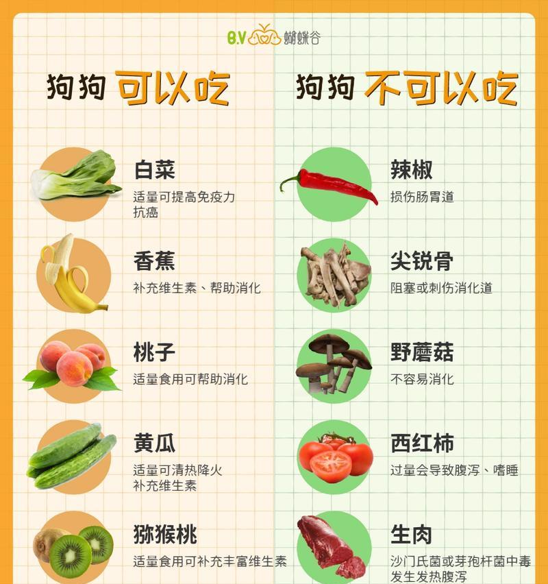 小狗狗何时适合开始吃干狗粮？（干狗粮的最佳时机与养护小技巧）
