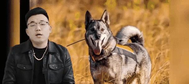 为什么要养猛犬？（探讨养猛犬的好处与注意事项）