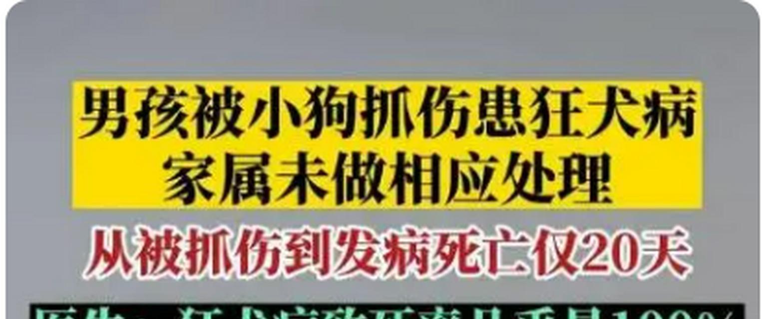 狗狗打针后的护理指南（关注狗狗健康，做好打针后的注意事项）