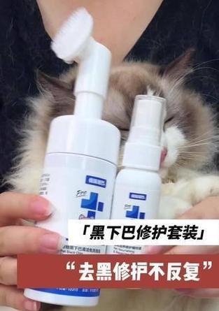 猫黑下巴为什么需要擦拭？（探究猫黑下巴的原因及正确擦拭方法）