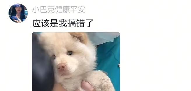 小狗打针后的常见症状（详解小狗接种疫苗后出现的症状及其处理方法）