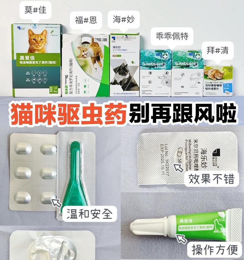 小孩吃什么驱虫药？选择适合孩子的保健（为什么小孩需要吃驱虫药？如何选择适合小孩的驱虫药？）