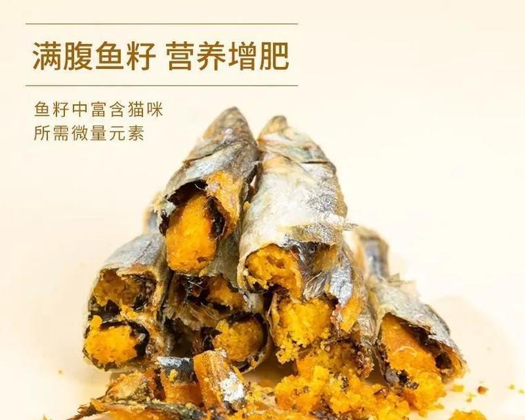 如何选择适合小猫咪食用的最佳鱼肉（小猫咪食用鱼肉的类型和注意事项）