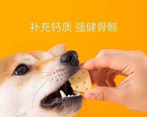 如何给狗狗补钙（科学合理的饮食搭配让狗狗健康成长）