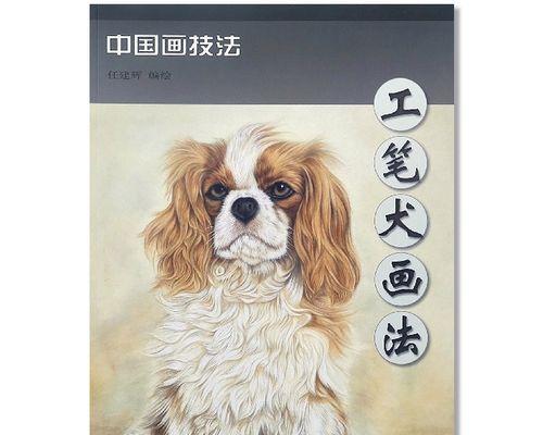 以观赏犬是什么意思？（探究赏犬的魅力与乐趣）