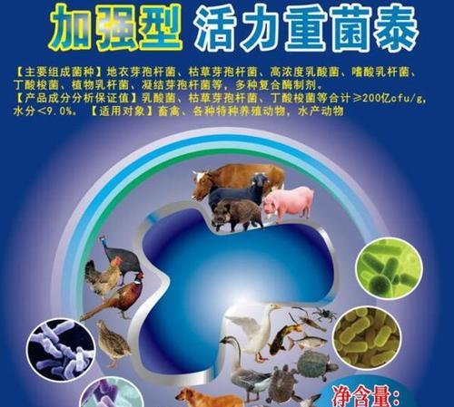 益生菌对狗狗的益处（了解如何通过益生菌促进宠物狗健康）