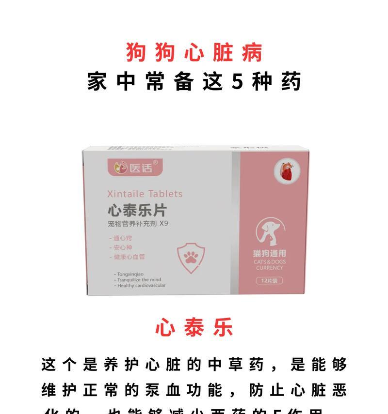 养狗必备药物大揭秘（宠物药物的种类及使用方法解析）