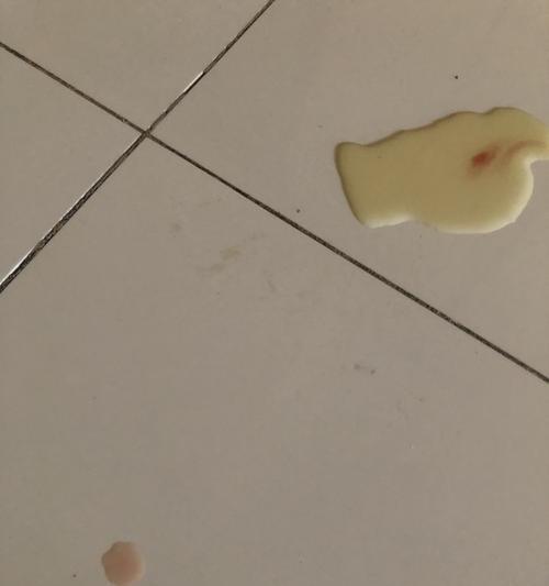 狗狗尿里有血，这是为什么？（了解狗狗尿液中出现血迹的原因及应对措施）
