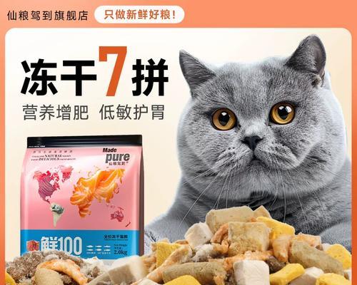 布偶幼猫的营养需求与选择适合的猫粮（布偶幼猫食谱、最佳猫粮品牌及关键营养素）