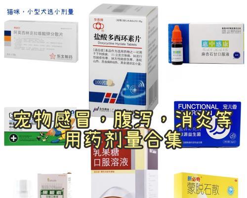 泰迪感冒怎么办？15种药物让你快速康复（泰迪感冒吃什么药好得快？找对方法，健康宠物快乐成长）