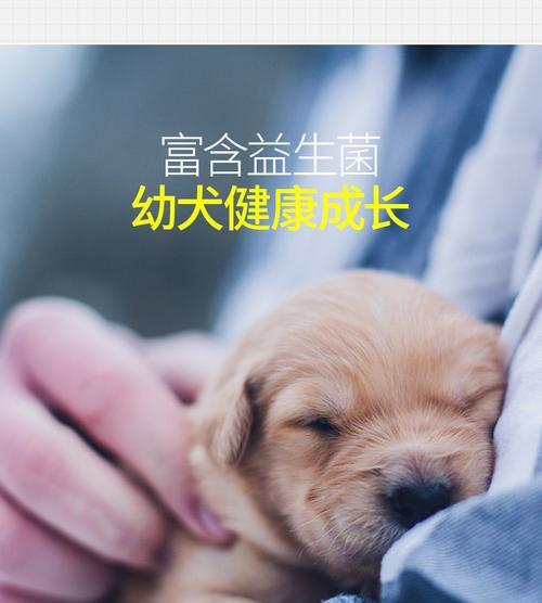 为狗宝宝选择羊奶粉（为什么羊奶粉是最佳选择）