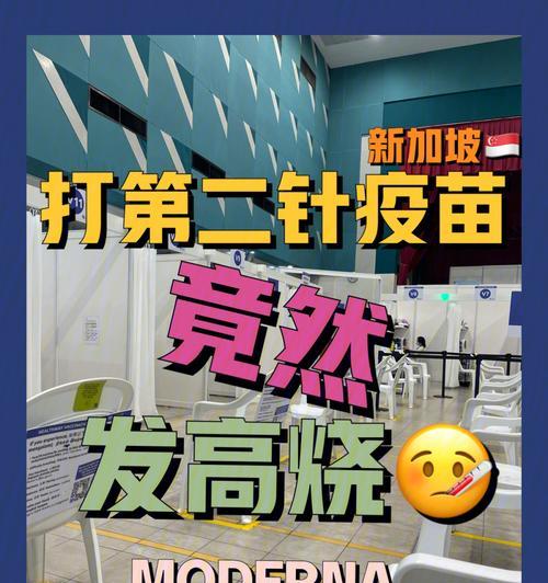 博美第二针疫苗接种时机与注意事项（保护爱宠健康，科学合理接种疫苗）