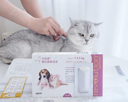 猫咪驱虫（以猫咪体内驱虫为主题的驱虫方法和注意事项）