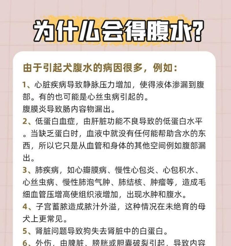 狗得腹水的症状及应对方法（详解狗腹水的症状和处理方法）
