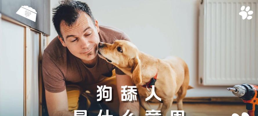 解读狗狗舔人行为的意义（狗狗舔人行为解密——情感表达、社交行为、健康检查）