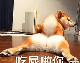 《狗狗放屁与饮食》（探索狗狗放屁的原因及调整饮食的方法）