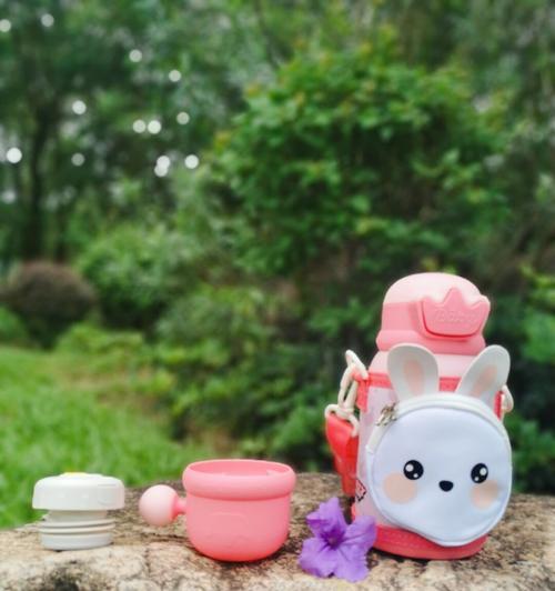 带兔子出去玩的必备用品及注意事项（轻松带兔子出游，从这些用品开始）